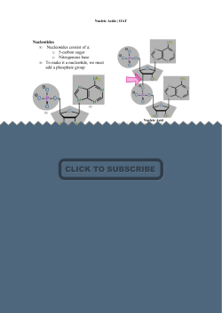 Nucleotides &bull; Nucleosides consist of a: o 5