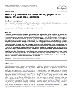 ribonucleases are key players in the control of
