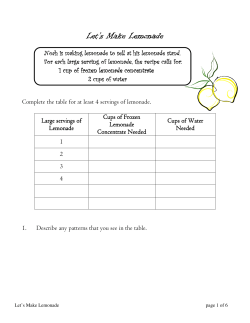 Lemonade_Problem_Final