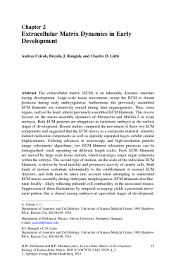 Extracellular Matrix Dynamics in Early Development