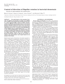 Control of direction of flagellar rotation in bacterial - ENS-phys