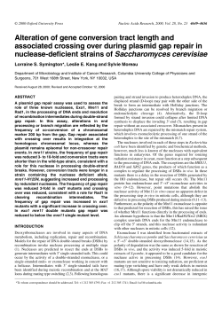 Alteration of gene conversion tract length and associated crossing