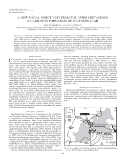 a new social insect nest from the upper cretaceous kaiparowits