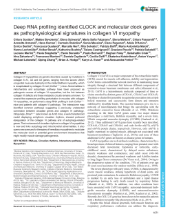 Deep RNA profiling identified CLOCK and molecular clock genes as