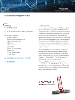 Enzymate BEH Pepsin Column