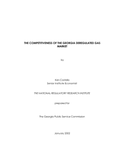 Competitiveness of the Georgia Deregulated Gas Market