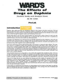 The Effects of Drugs on Daphnia