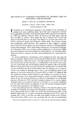 THE EFFECTS OF COMBINED RADIATIONS ON CROSSING OVER