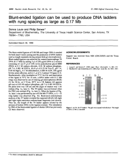 Blunt-ended ligation can be used to produce DNA ladders with rung
