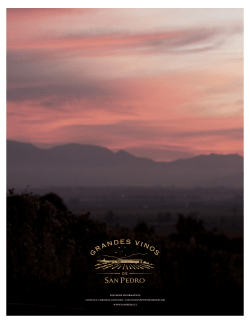 GVSP - VSPT Wine Group