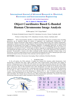 Object Coordinates Based G-Banded Human Chromosome Image