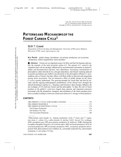 PATTERNS AND MECHANISMS OF THE FOREST CARBON CYCLE1
