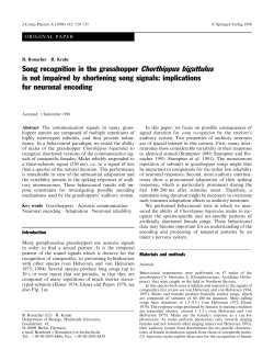 Song recognition in the grasshopper Chorthippus