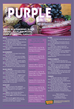 Try Me! - Syracuse University Food Services