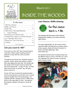 inside the woods - School of the Woods