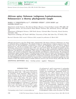 African spiny Solanum