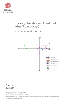 The early diversification of ray-finned fishes (Actinopterygii