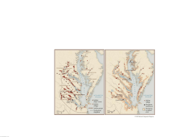 Indian chief `s town Indian village Indian group Powhatan`s chiefdom