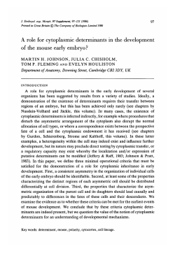 A role for cytoplasmic determinants in the development of the mouse
