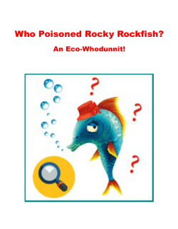 Who Poisoned Rocky Rockfish?