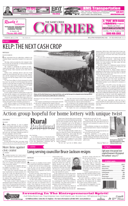 KELP: thE NExt caSh crOP