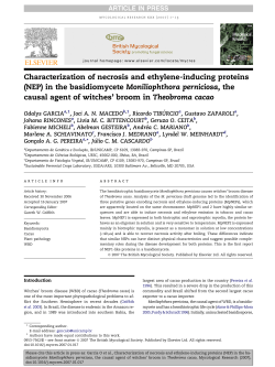 Characterization of necrosis and ethylene