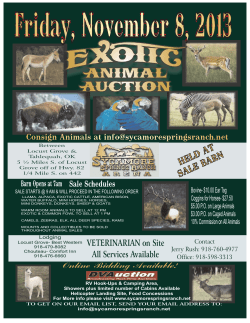 Exotic Flyer Nov 8 - Sycamore Springs Ranch