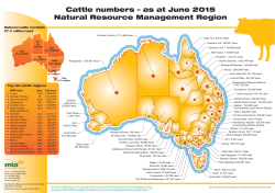Cattle herd distribution map
