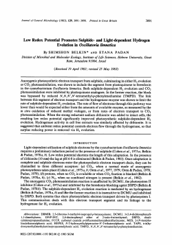 Low Redox Potential Promotes Sulphide- and Light