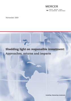 Shedding light on responsible investment