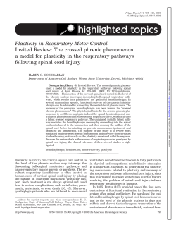 Invited Review: The crossed phrenic phenomenon: a model for