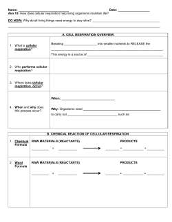 Aim 19: How does cellular respiration help living organisms