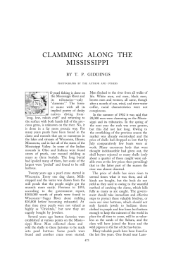 Clamming Along the Mississippi