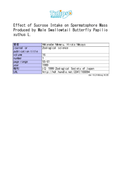 Effect of Sucrose Intake on Spermatophore Mass Produced by Male