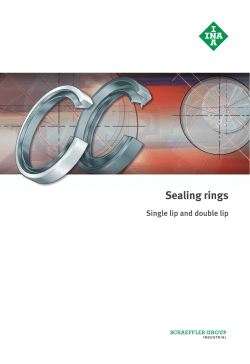 Sealing rings: Single lip and double lip: TPI 128