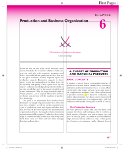 Production and Business Organization First Pages
