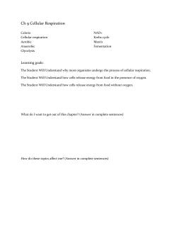 Ch 9 Cellular Respiration