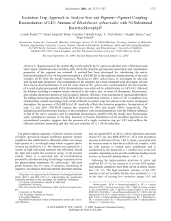Excitation Trap Approach to Analyze Size and Pigment