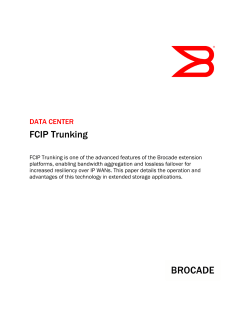 FCIP Trunking