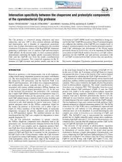 Interaction specificity between the chaperone and proteolytic