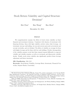 Stock Return Volatility and Capital Structure Decisions