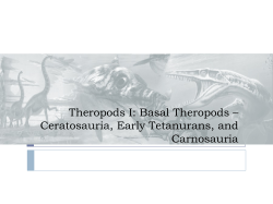 Theropods I: Basal Theropods &ndash; Ceratosauria, Early Tetanurans