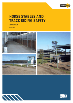 horse stables and track riding safety