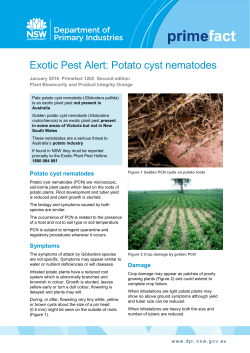 Exotic Pest Alert: Potato cyst nematodes