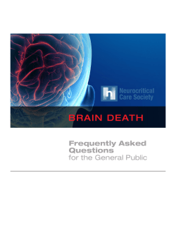 brain death - Program for Biomedical Ethics