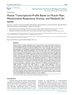 Muscle Transcriptional Profile Based on Muscle Fiber, Mitochondrial