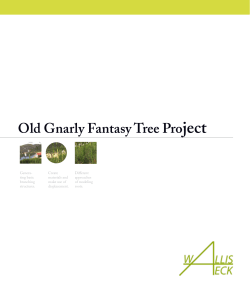 Old Gnarly Fantasy Tree Project