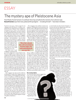 The mystery ape of Pleistocene asia ESSAY