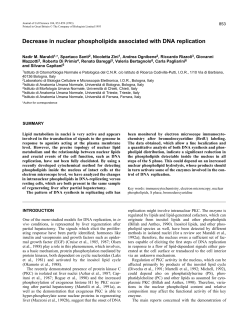 Decrease in nuclear phospholipids associated with DNA replication