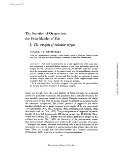 The Secretion of Oxygen into the Swim